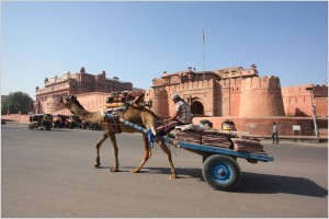 Rajasthan’s Royal City: Bikaner