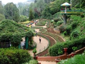 The Paradise of Southern India: Ooty