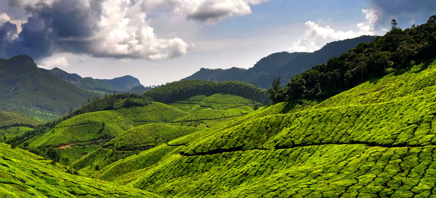 Monsoon Delight: 9 Places to visit in Munnar